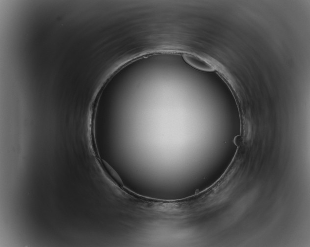 X0000088361006200705291303