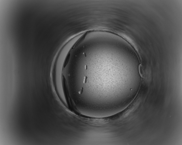 X0000088361007200705291303