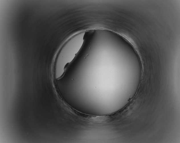 X0000088361008200705291303