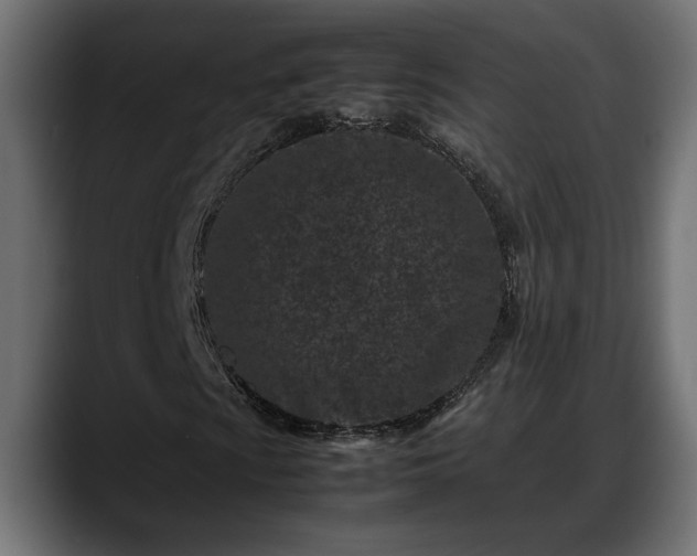 X0000088361009200705291303