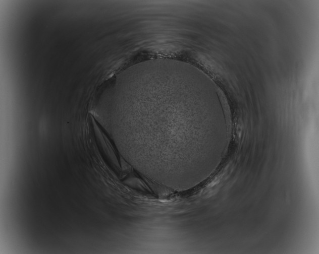 X0000088361010200705291303