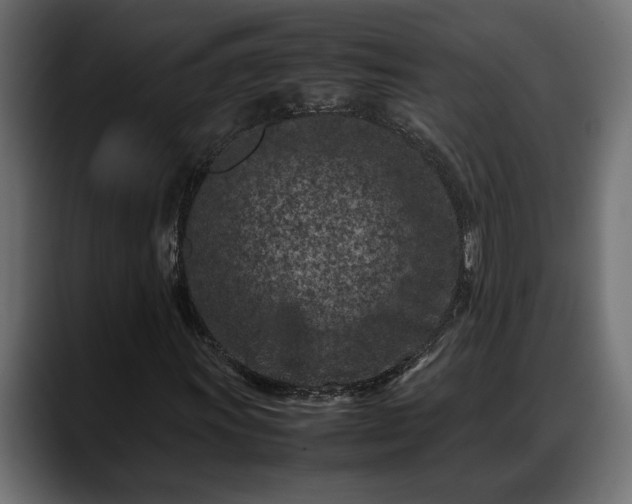 X0000088361011200705291303