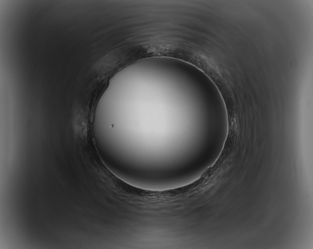 X0000088361012200705291303