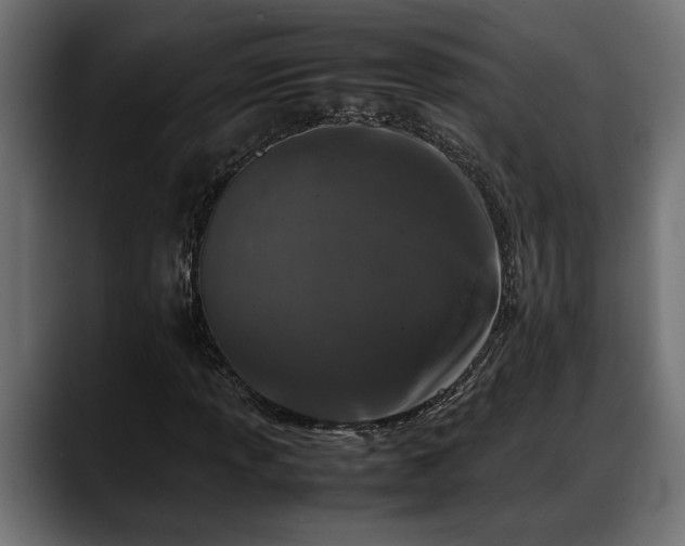 X0000088361013200705291303