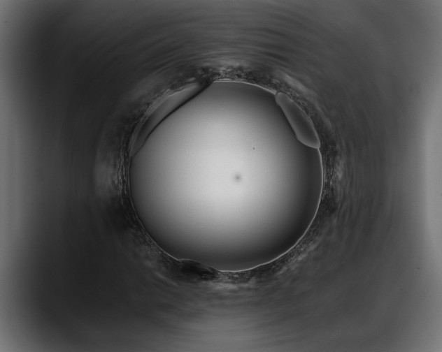 X0000088361014200705291303