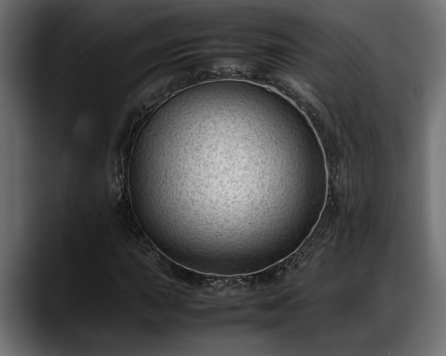 X0000088361015200705291303