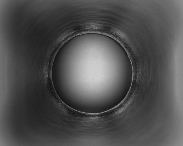 X0000088361017200705291303