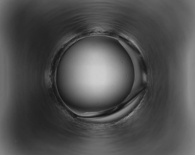 X0000088361018200705291303