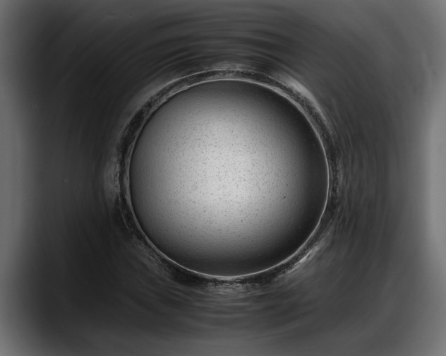 X0000088361019200705291303