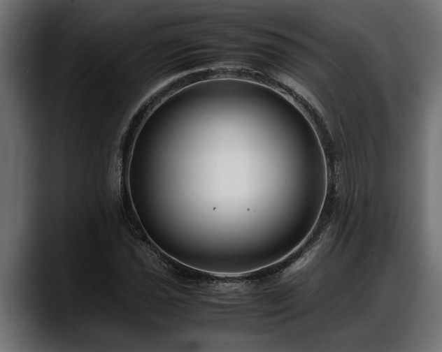 X0000088361021200705291303