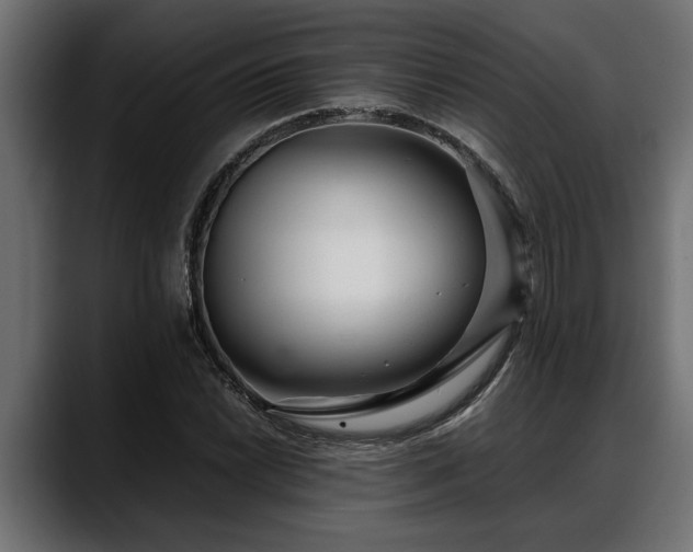 X0000088361022200705291303