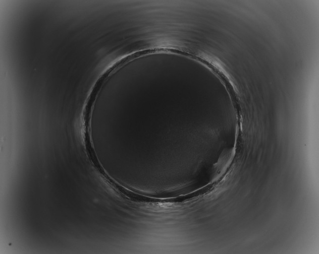 X0000088361024200705291303