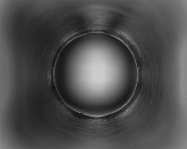 X0000088361025200705291303