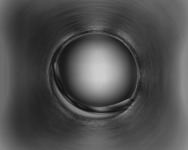 X0000088361026200705291303