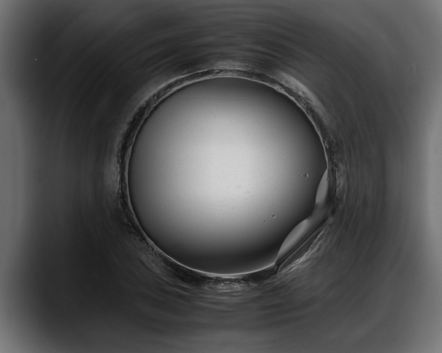 X0000088361027200705291303