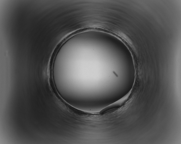 X0000088361028200705291303