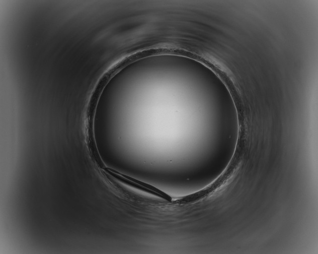 X0000088361029200705291303