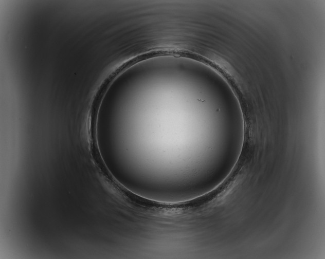 X0000088361030200705291303