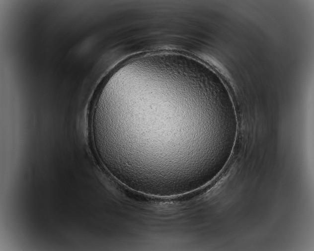 X0000088361031200705291303