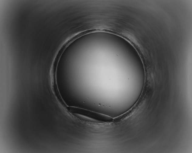 X0000088361032200705291303