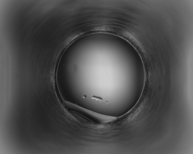 X0000088361033200705291303