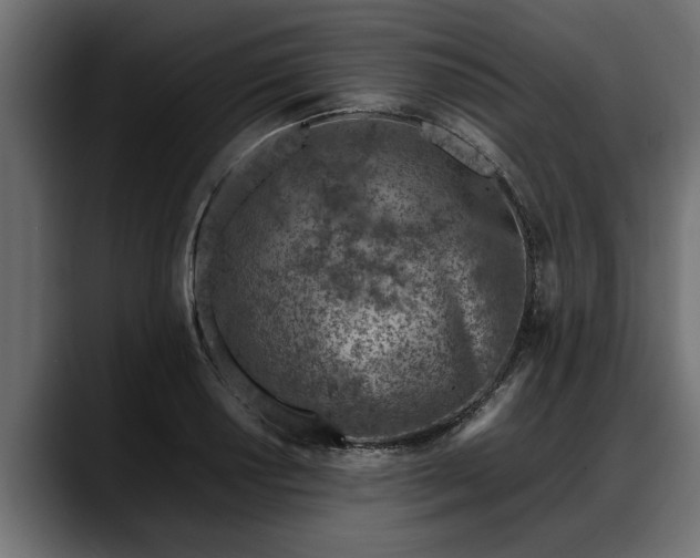 X0000088361034200705291303