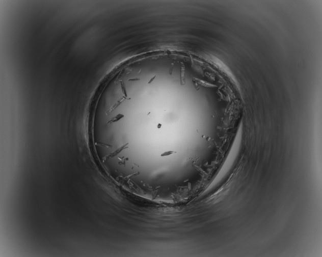 X0000088361035200705291303