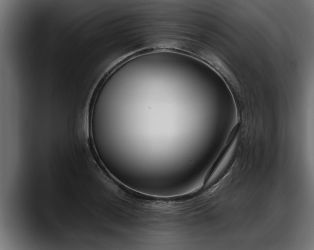 X0000088361036200705291303