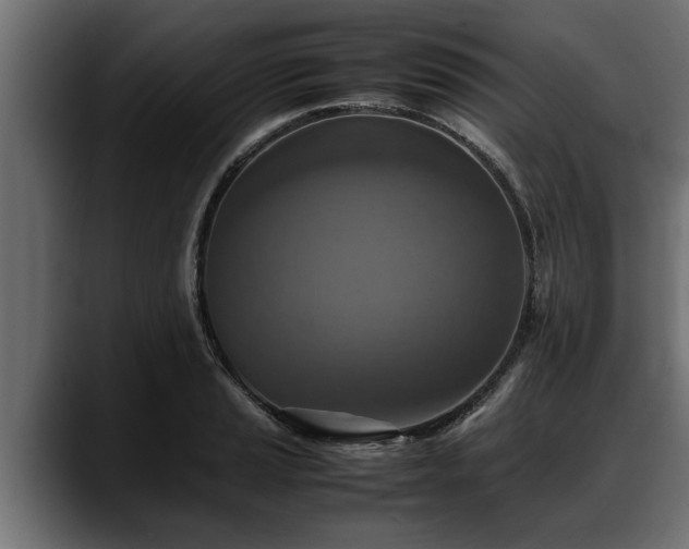 X0000088361037200705291303