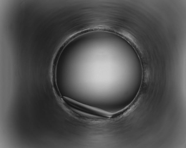 X0000088361038200705291303