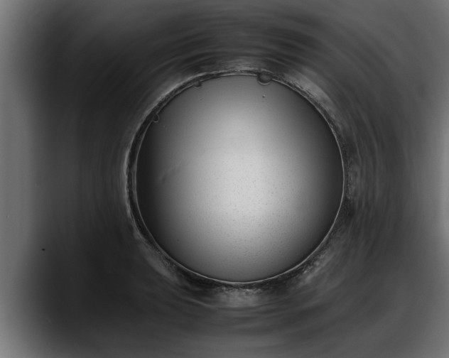 X0000088361039200705291303