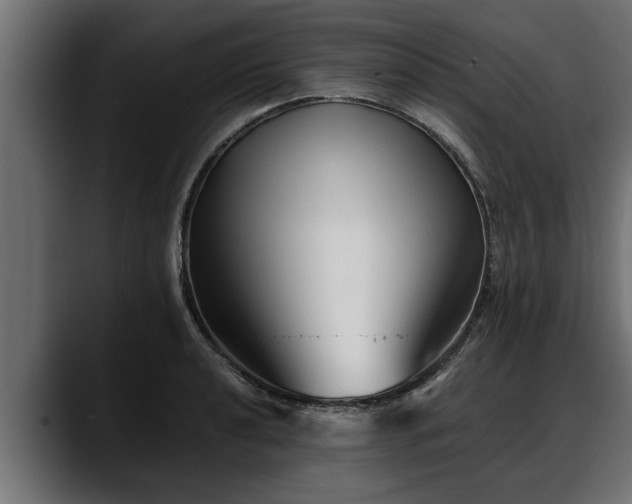 X0000088361040200705291303