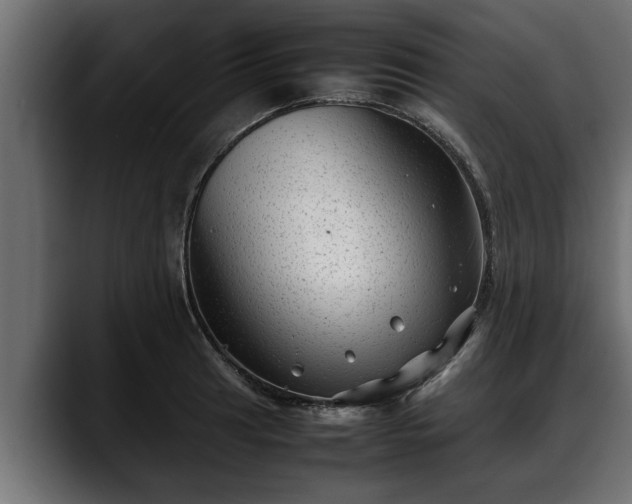 X0000088361041200705291303