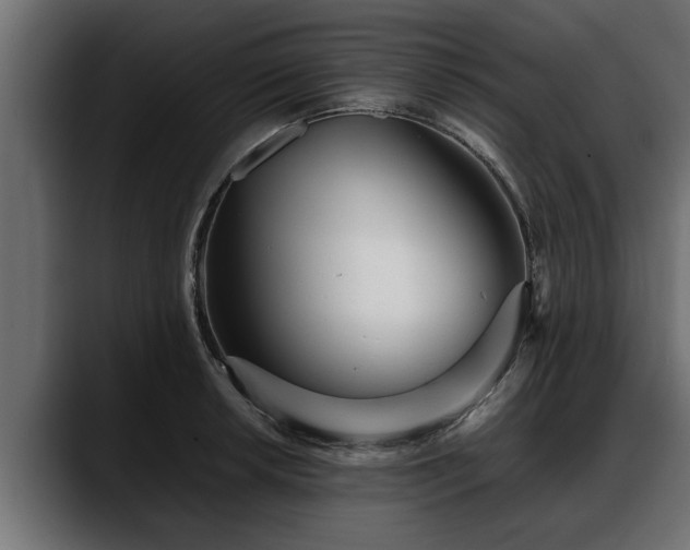 X0000088361042200705291303