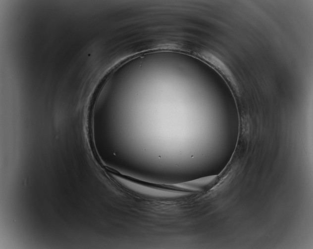 X0000088361043200705291303