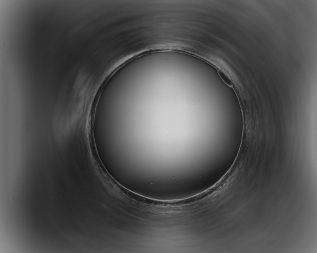 X0000088361044200705291303