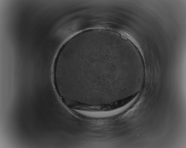 X0000088361045200705291303