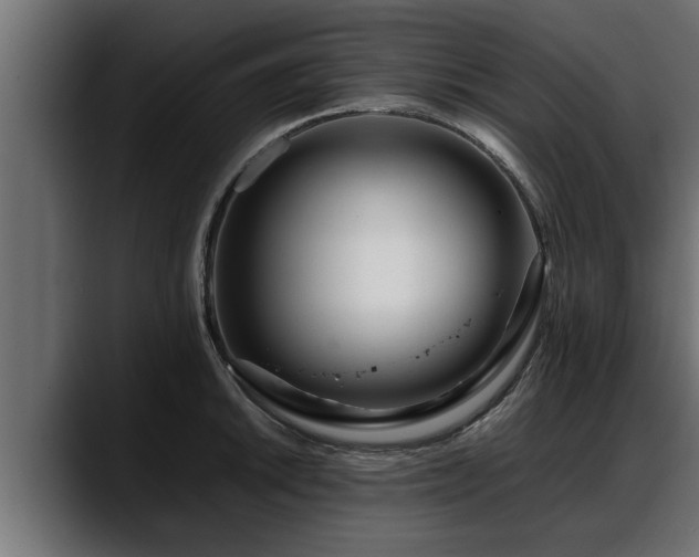 X0000088361046200705291303