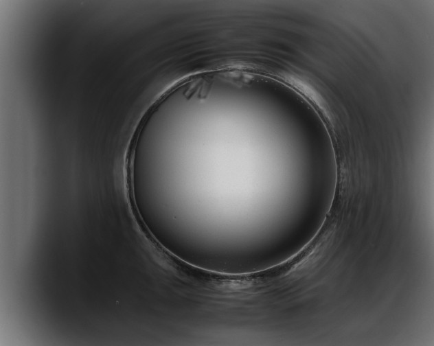 X0000088361047200705291303