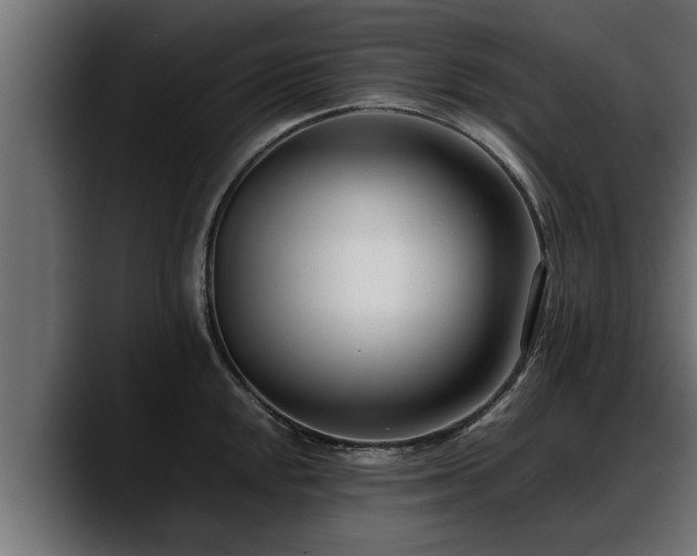 X0000088361048200705291303