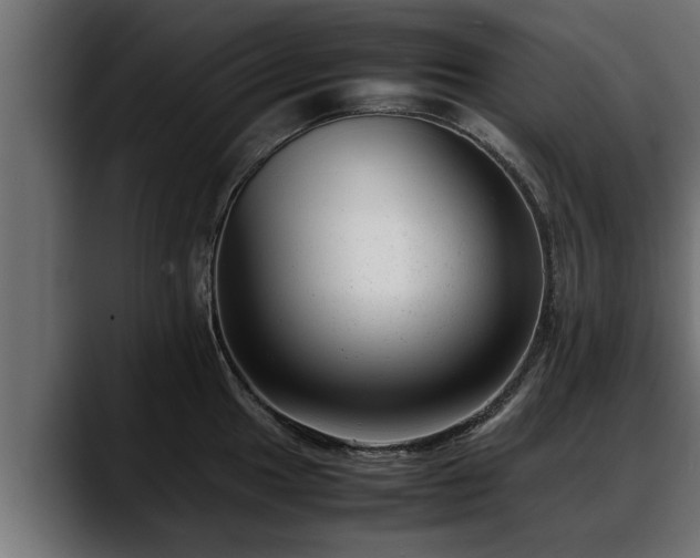 X0000088361049200705291303