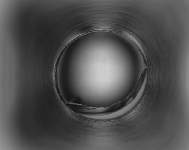 X0000088361050200705291303