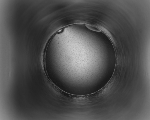 X0000088361051200705291303