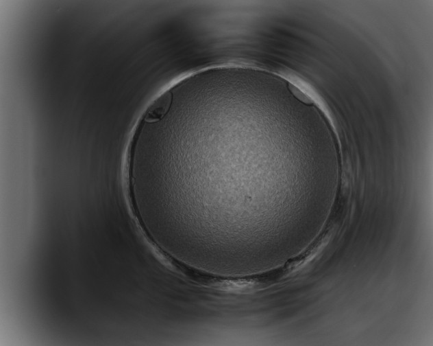 X0000088361053200705291303