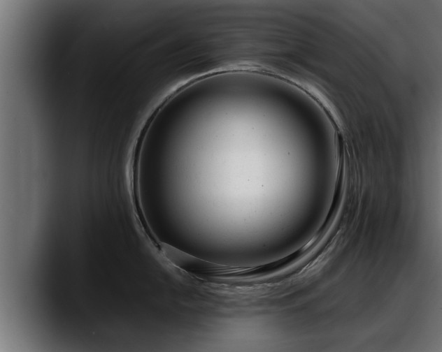 X0000088361054200705291303