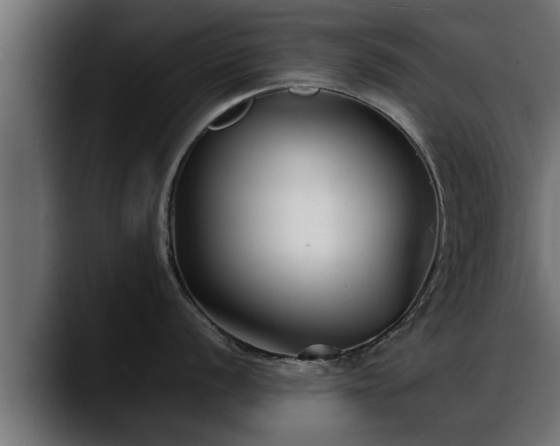 X0000088361056200705291303