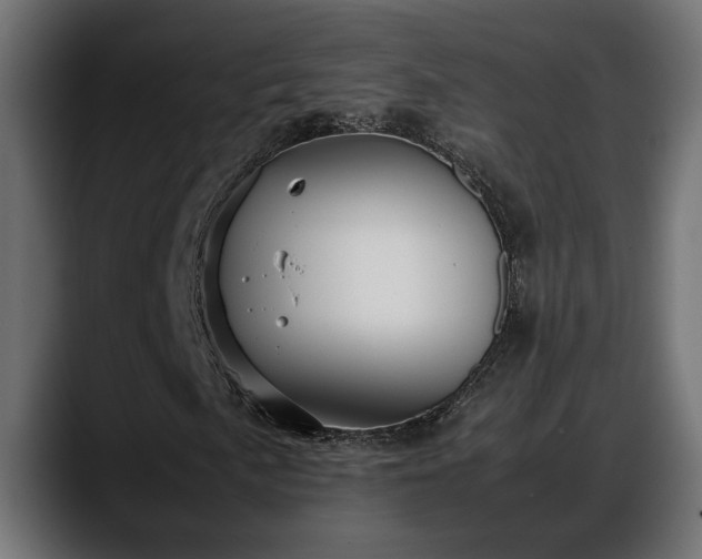 X0000088361057200705291303