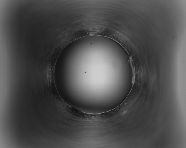 X0000088361058200705291303