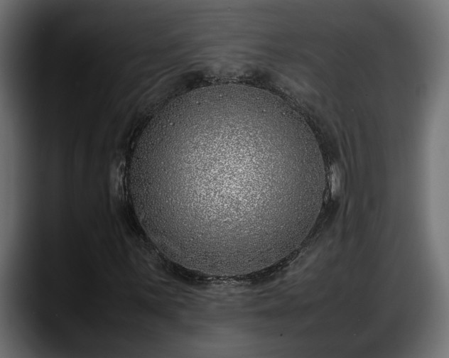 X0000088361059200705291303