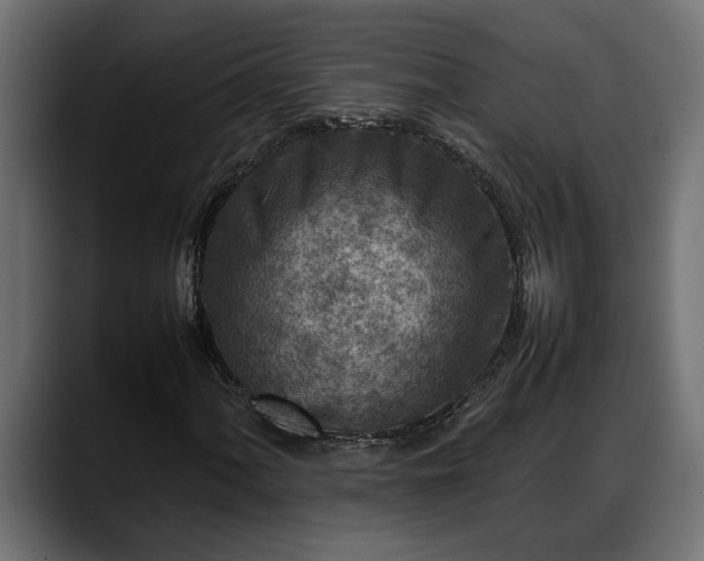 X0000088361060200705291303